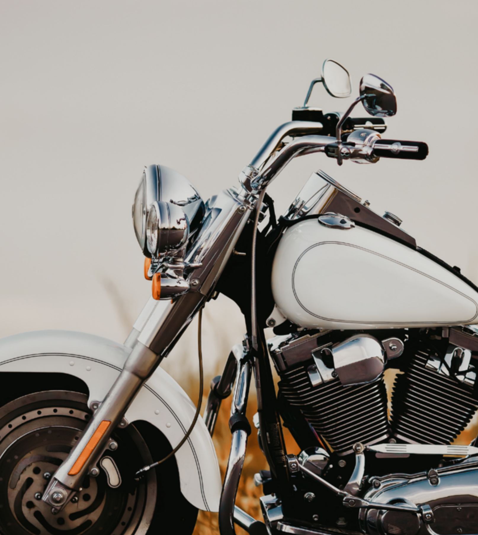Specialty Insurance