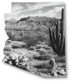 Arizona